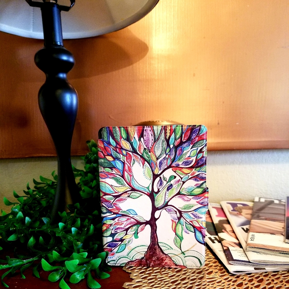 Kindle - Picture 4 of 4